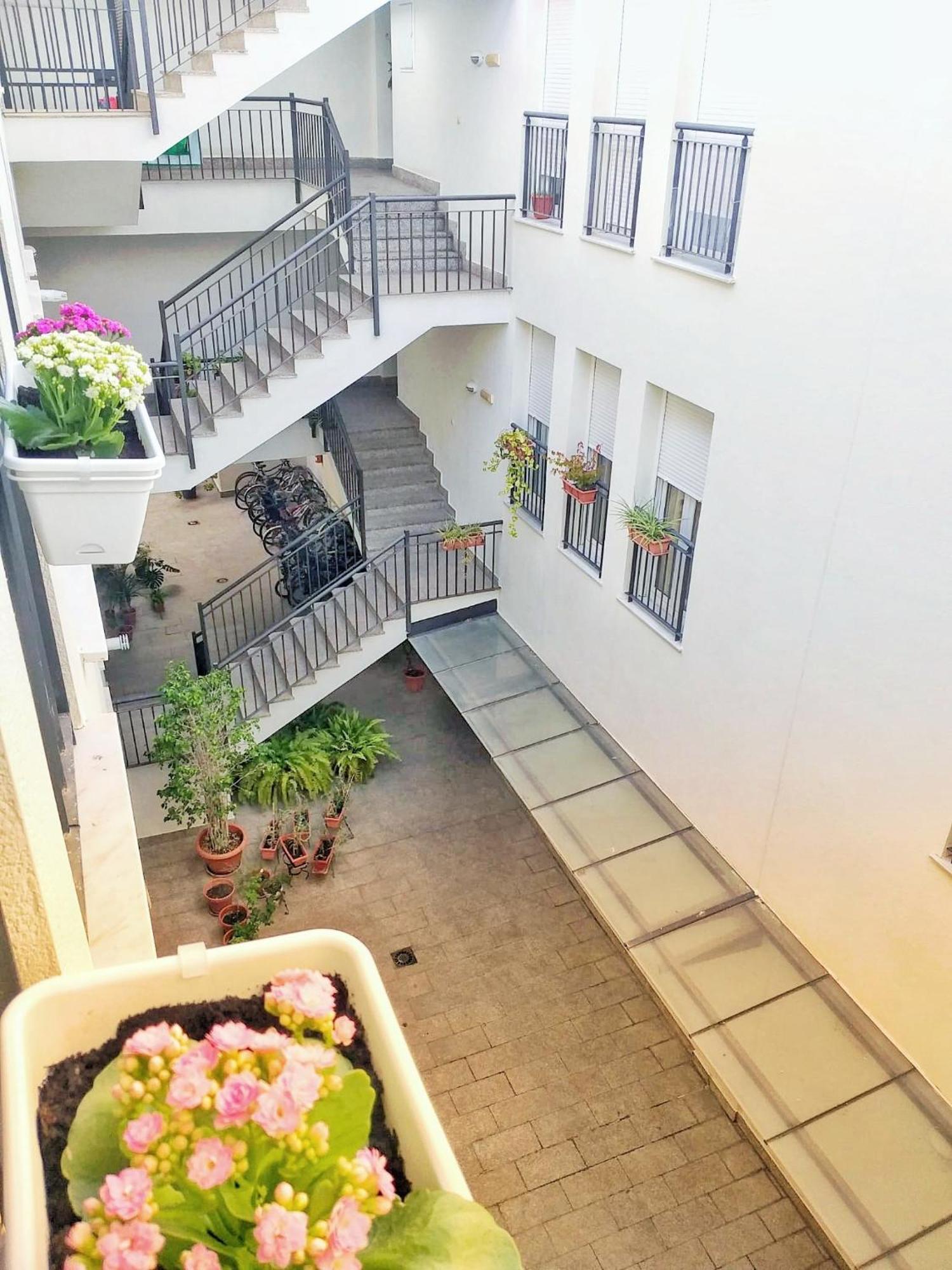Loft Mentidero Apartment กาดิซ ภายนอก รูปภาพ